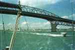 sailing under auckland harbour bridge          