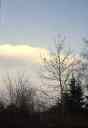 clouds and trees over Aachen        