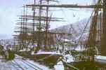 historic photo of clippers in Wellington? Harbour         