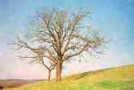 tree in Landscape        