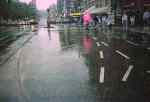 rainy street scene in Amsterdam     