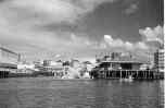 Auckland Harbour.. raising of the Rainbow Warrior         