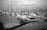 Auckland Yacht Harbour   