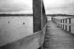 narrow wharf in Auckland (Herne Bay?)          