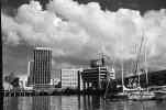 Auckland Harbour         