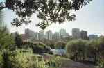 Auckland skyline from the domain    