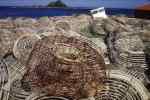 crayfish crates in Wellington       