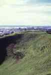 the crater of Maungawhau (Mt. Eden) Auckland   