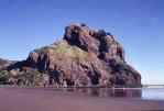 Lion Rock, Piha, Waitakere near Auckland       