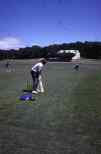 playing cricket in the Auckland Domain         