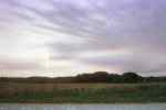 fields and sky and forest           