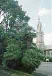 Auckland university buildings       